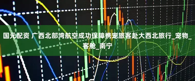国元配资 广西北部湾航空成功保障携宠旅客赴大西北旅行_宠物_客舱_南宁