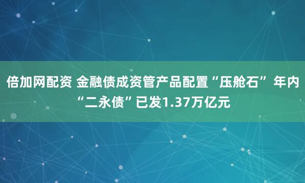 倍加网配资 金融债成资管产品配置“压舱石” 年内“二永债”已发1.37万亿元